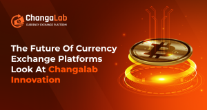 Currency Exchange Platforms