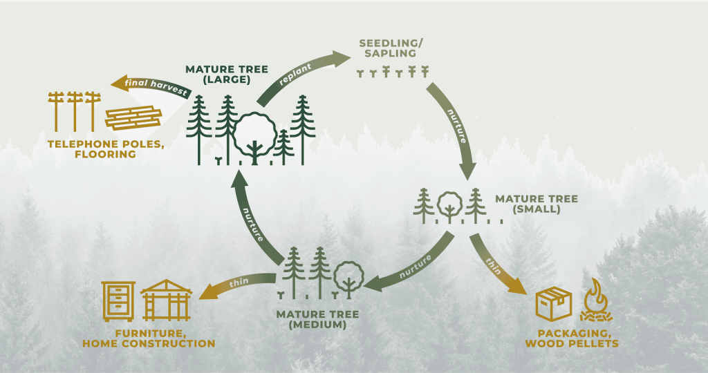 Environmental Investment Platform